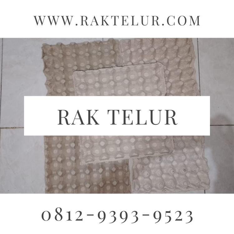 Harga Rak Telur.png