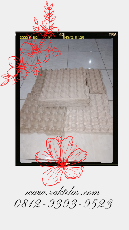 Harga 1 Rak Telur.png