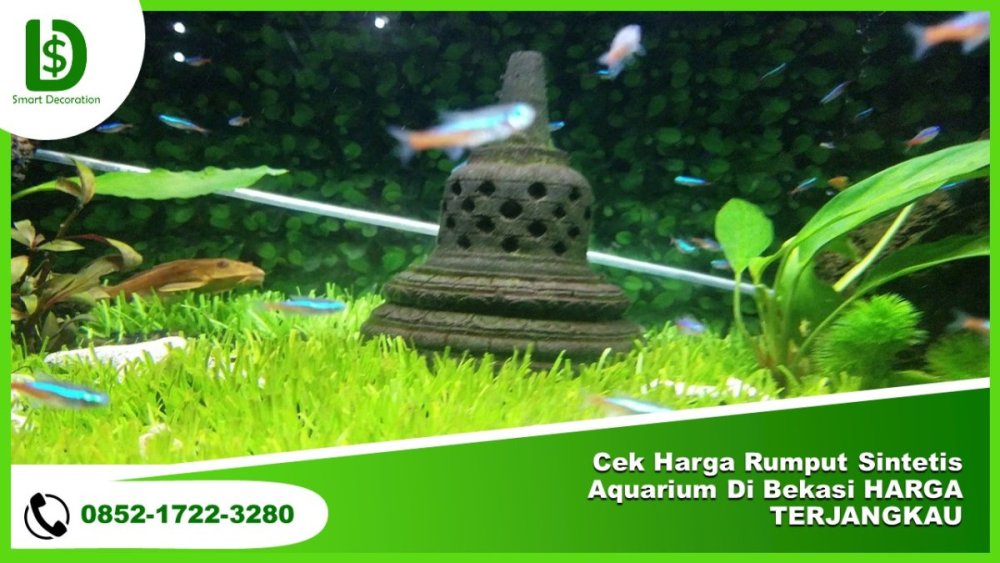 Cek Harga Rumput Sintetis Aquarium Di Bekasi HARGA TERJANGKAU.jpg