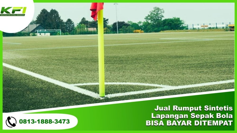 Jual Rumput Sintetis Lapangan Sepak Bola BISA BAYAR DITEMPAT.jpg