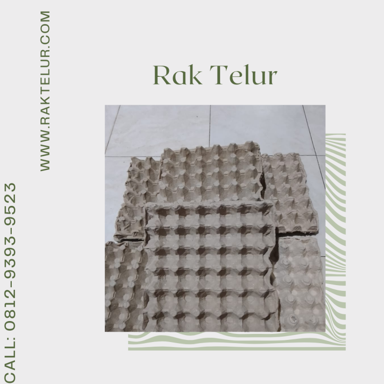 Distributor Rak Telur Ayam.png