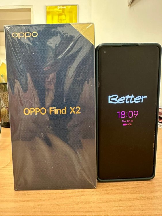 WhatsApp Image 2023-02-03 at 11.47.30.jpeg