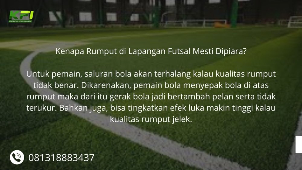 Rumput Lapangan Futsal (2).jpg