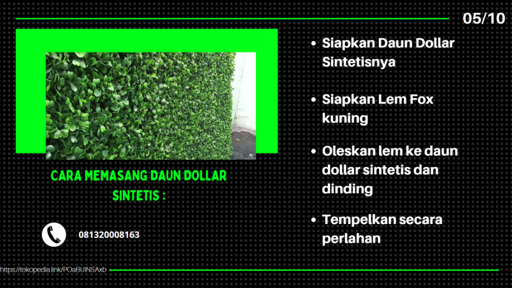 Daun Dolar sintetis Outdoor (1).png
