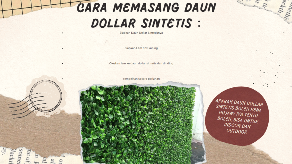 Daun Dolar Sintetis Jakarta (1).png