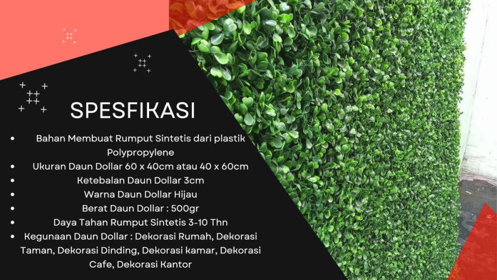 Daun Dolar Di Bekasi (1).png