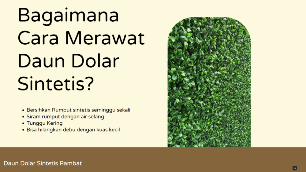 Daun Dolar Sintetis Rambat (3).png