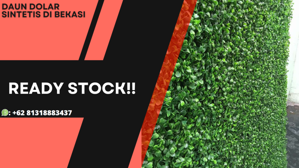 Daun Dolar Di Bekasi (2).png