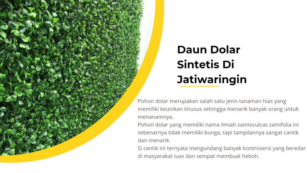 Daun Dolar Sintetis Di Jatiwaringin (1).png