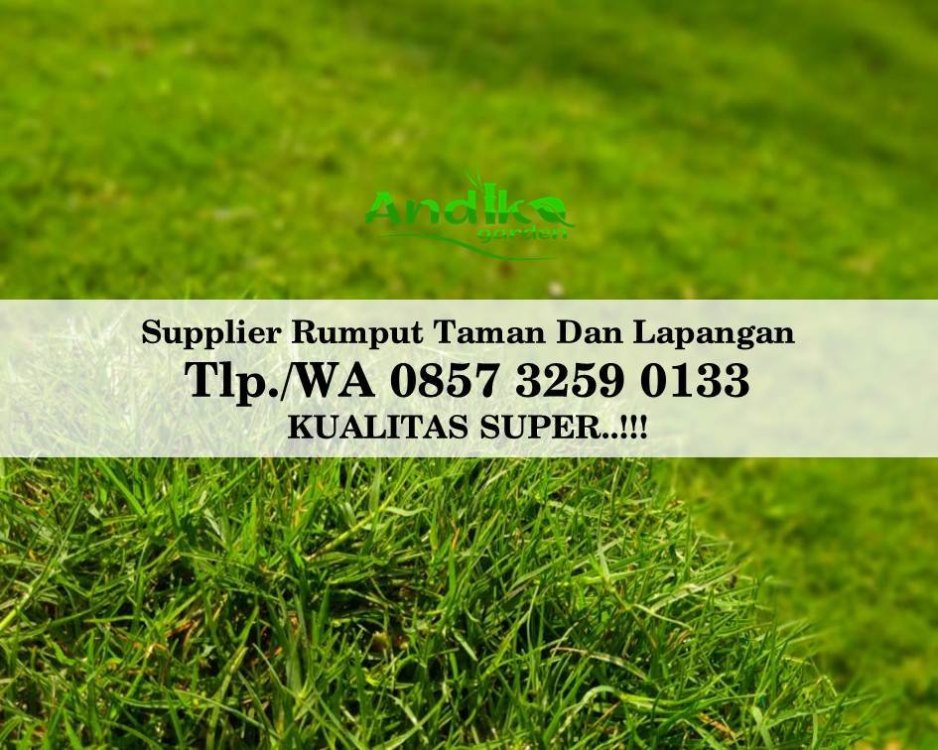 Tlp 0857 3259 0133, Supplier Rumput Golf Ponorogo.jpg