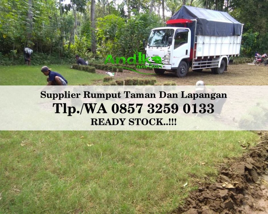Tlp 0857 3259 0133, Supplier Rumput Golf Pamekasan.jpg