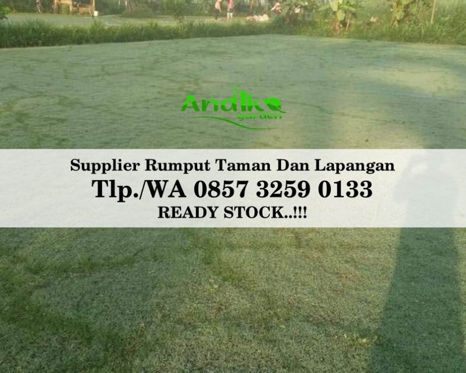 Tlp 0857 3259 0133, Supplier Rumput Golf Kota Cimahi.jpg