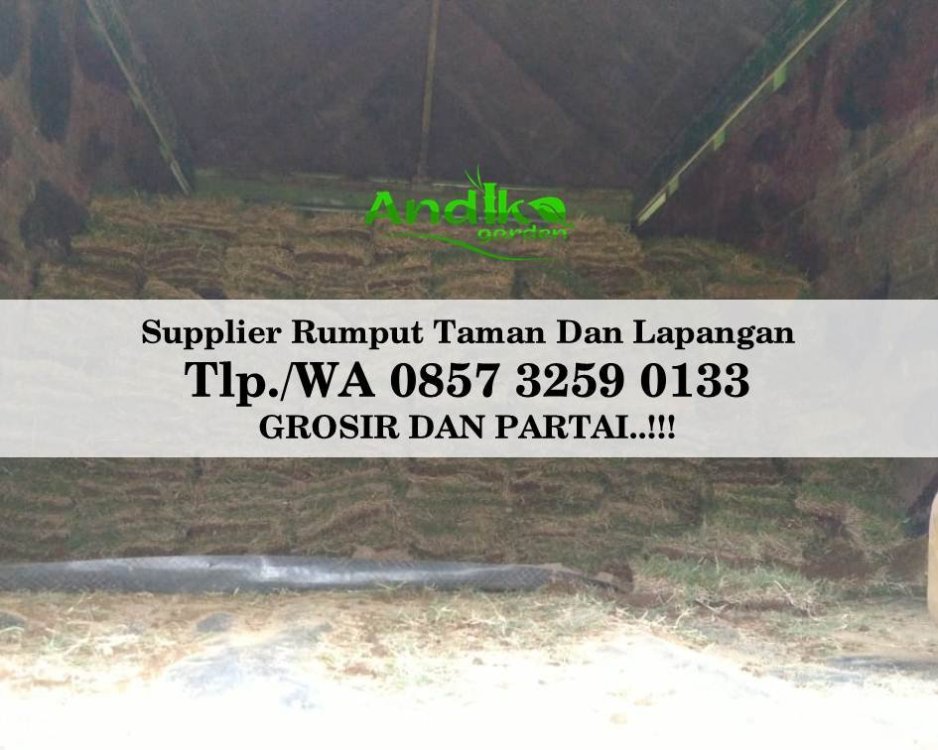 Tlp 0857 3259 0133, Supplier Rumput Golf Kebumen.jpg