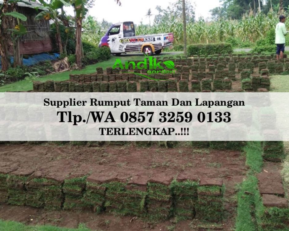 Tlp 0857 3259 0133, Supplier Rumput Golf Kediri.jpg