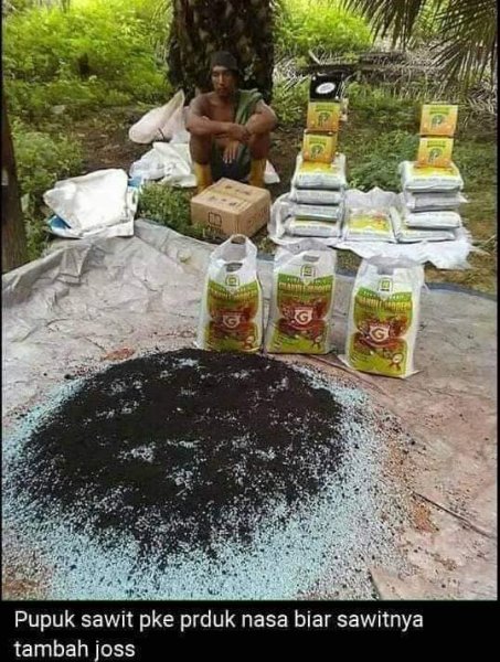 Terbukti !! Wa 0857 9711 6827 Jual Pupuk Cair Perangsang Buah Dan Bunga