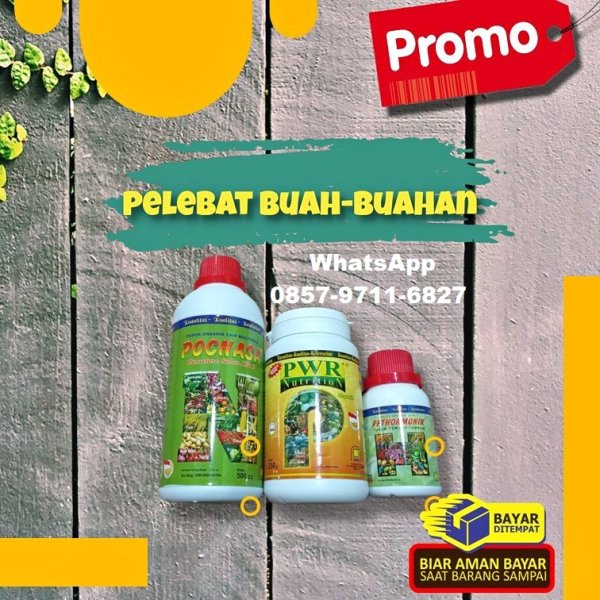 Wa 0857 9711 6827 Jual Pupuk Cair Perangsang Buah Dan Bunga