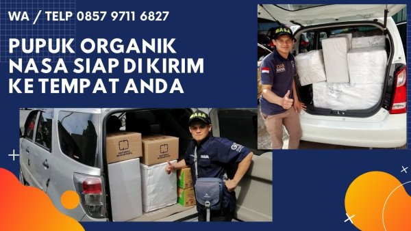 Violet Triangle Salad Recipes YouTube Thumbnail.jpg