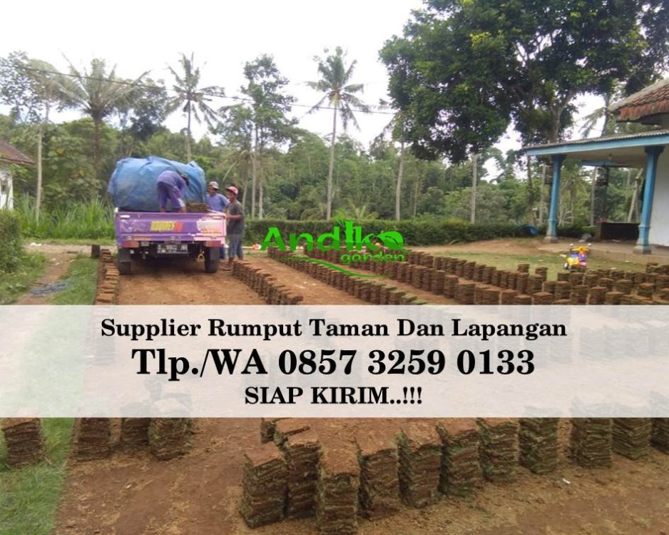 Tlp 0857 3259 0133, Supplier Rumput Golf Bandung.jpg