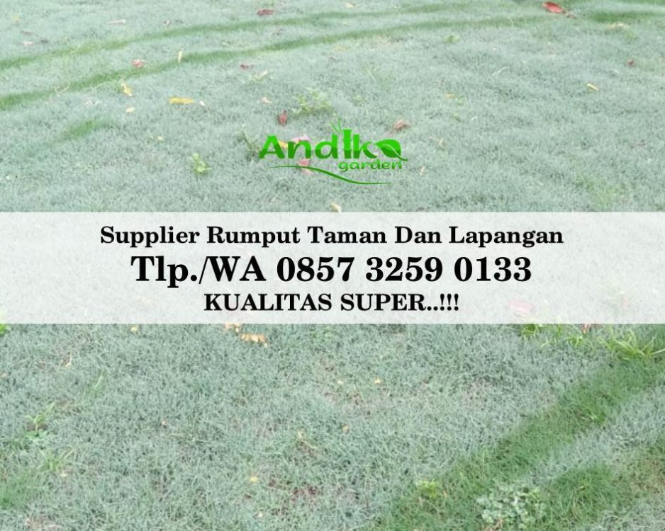 Tlp 0857 3259 0133, Supplier Rumput Golf Kota Banjar.jpg