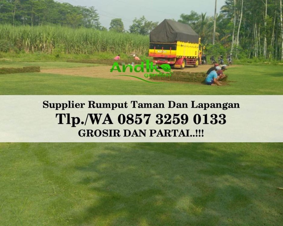 Tlp 0857 3259 0133, Supplier Rumput Golf Kota Jakarta Selatan.jpg