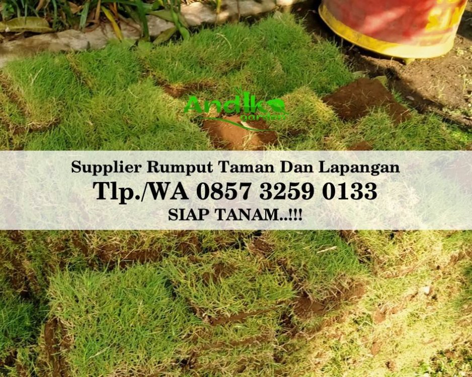 Tlp 0857 3259 0133, Supplier Rumput Golf Kudus.jpg