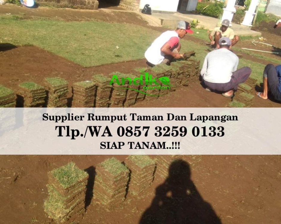 Tlp 0857 3259 0133, Supplier Rumput Golf Kota Bogor.jpg
