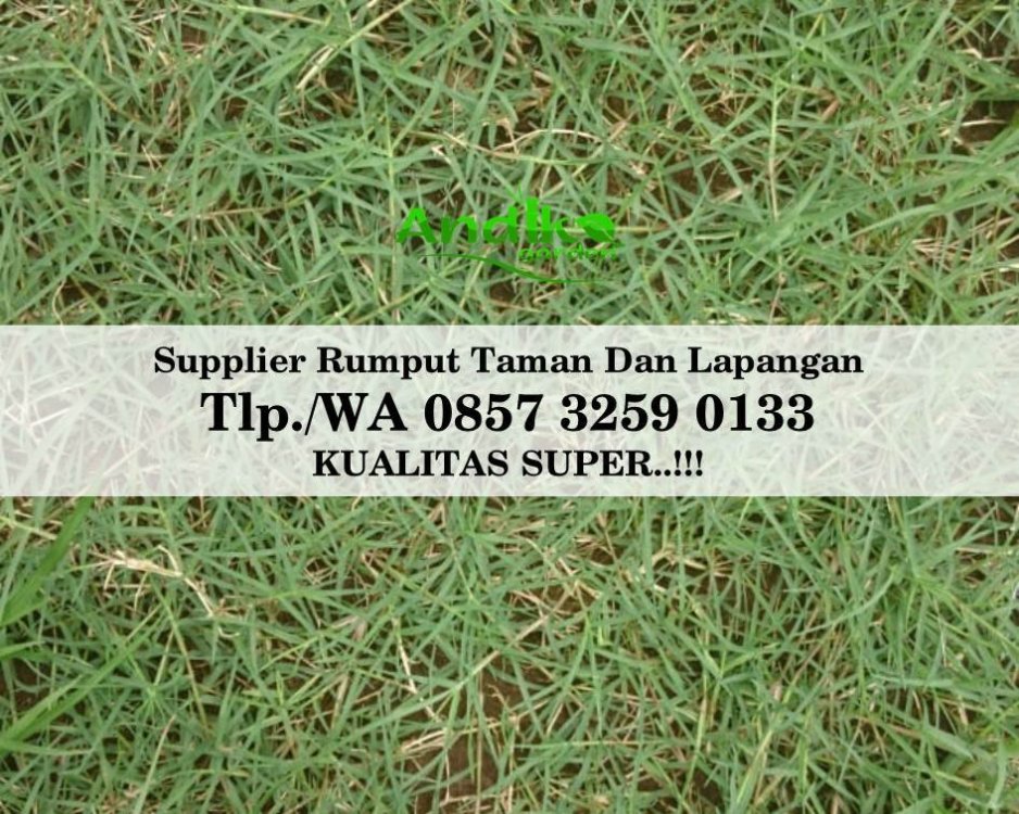 Tlp 0857 3259 0133, Supplier Rumput Golf Banyumas.jpg