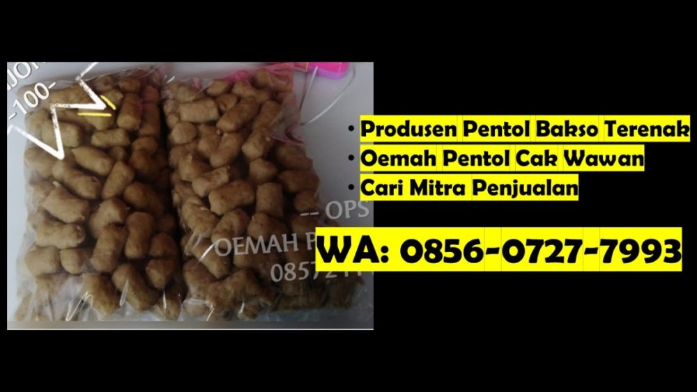 produsen pentol bakso jamur Mojokerto Gresik.JPG