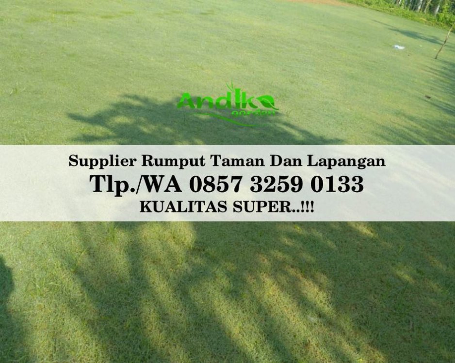 Tlp 0857 3259 0133, Supplier Rumput Golf Kota Jakarta Utara.jpg