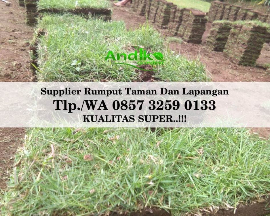 Tlp 0857 3259 0133, Supplier Rumput Golf DKI Jakarta.jpg