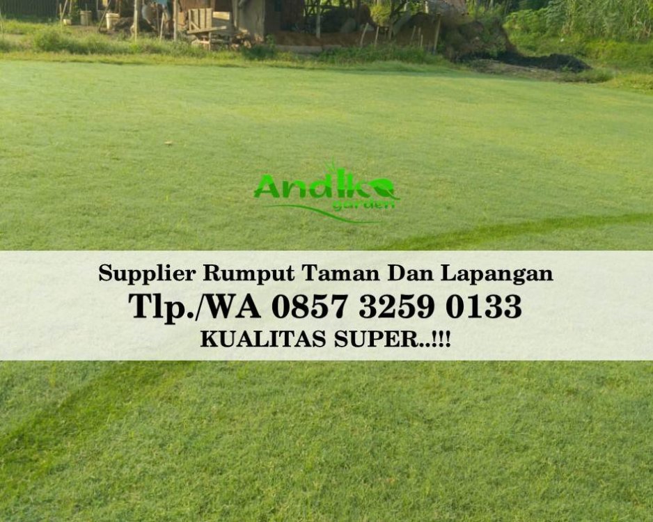 Tlp 0857 3259 0133, Supplier Rumput Golf Bekasi.jpg
