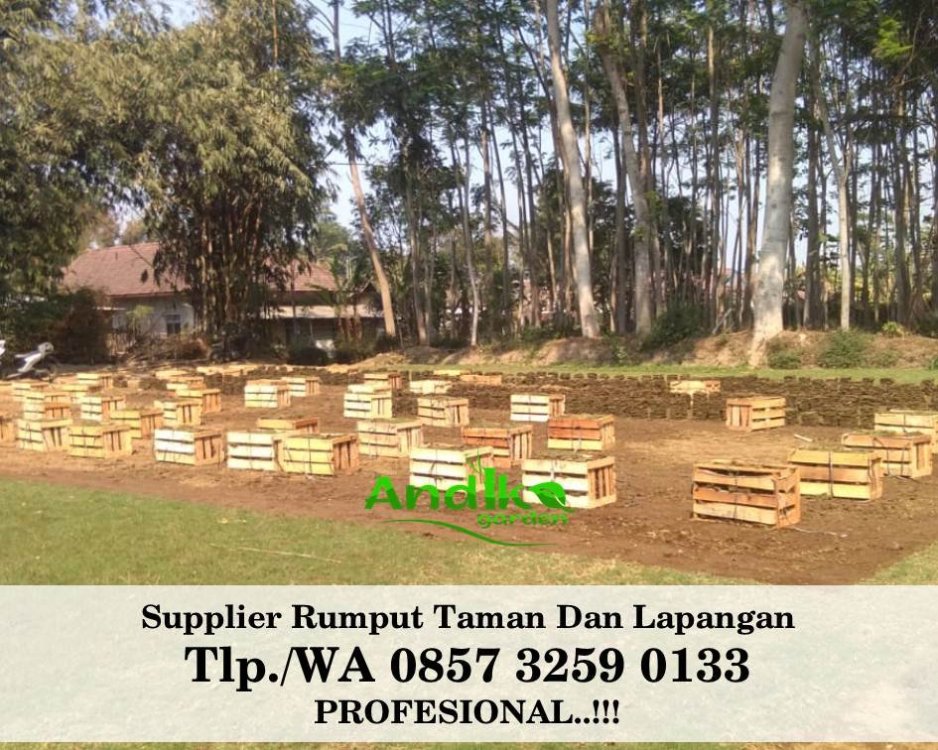 Tlp 0857 3259 0133, Supplier Rumput Golf Kota Sukabumi.jpg