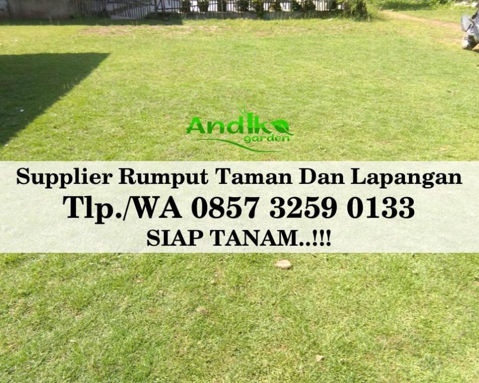 Tlp 0857 3259 0133, Supplier Rumput Golf Indramayu.jpg