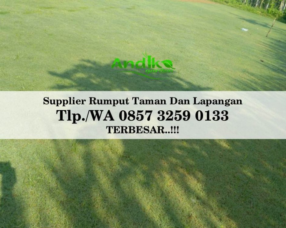 Tlp 0857 3259 0133, Supplier Rumput Golf Ngawi.jpg