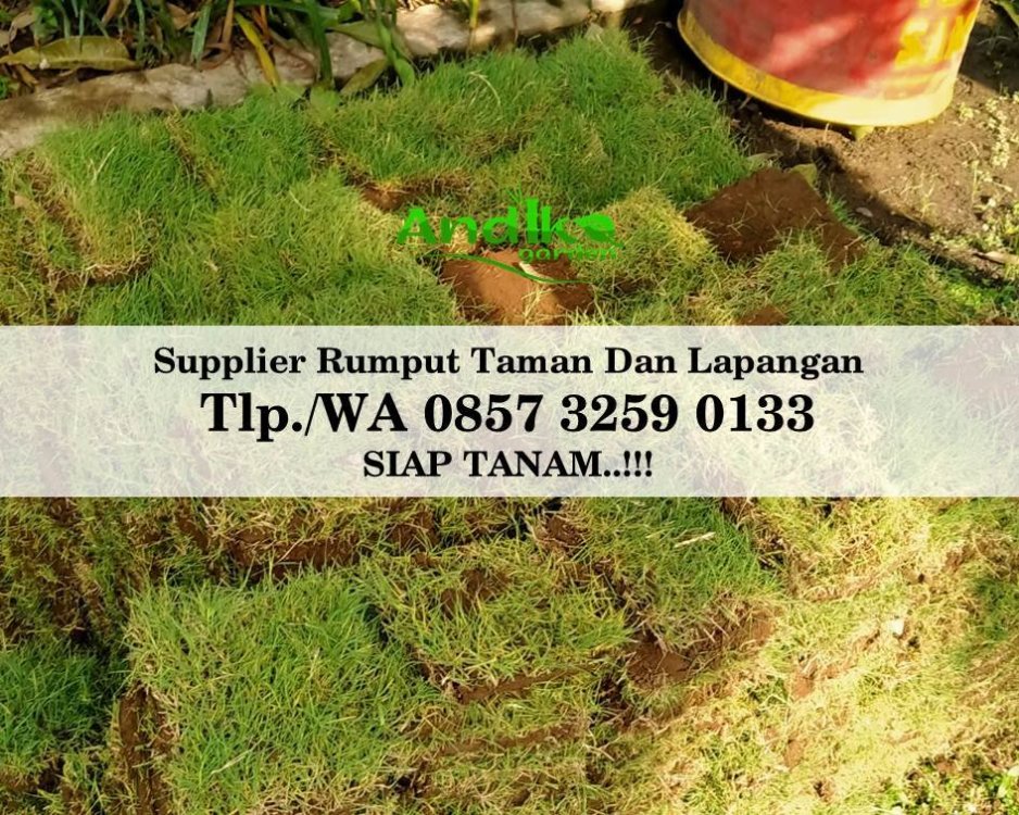 Tlp 0857 3259 0133, Supplier Rumput Golf Magetan.jpg