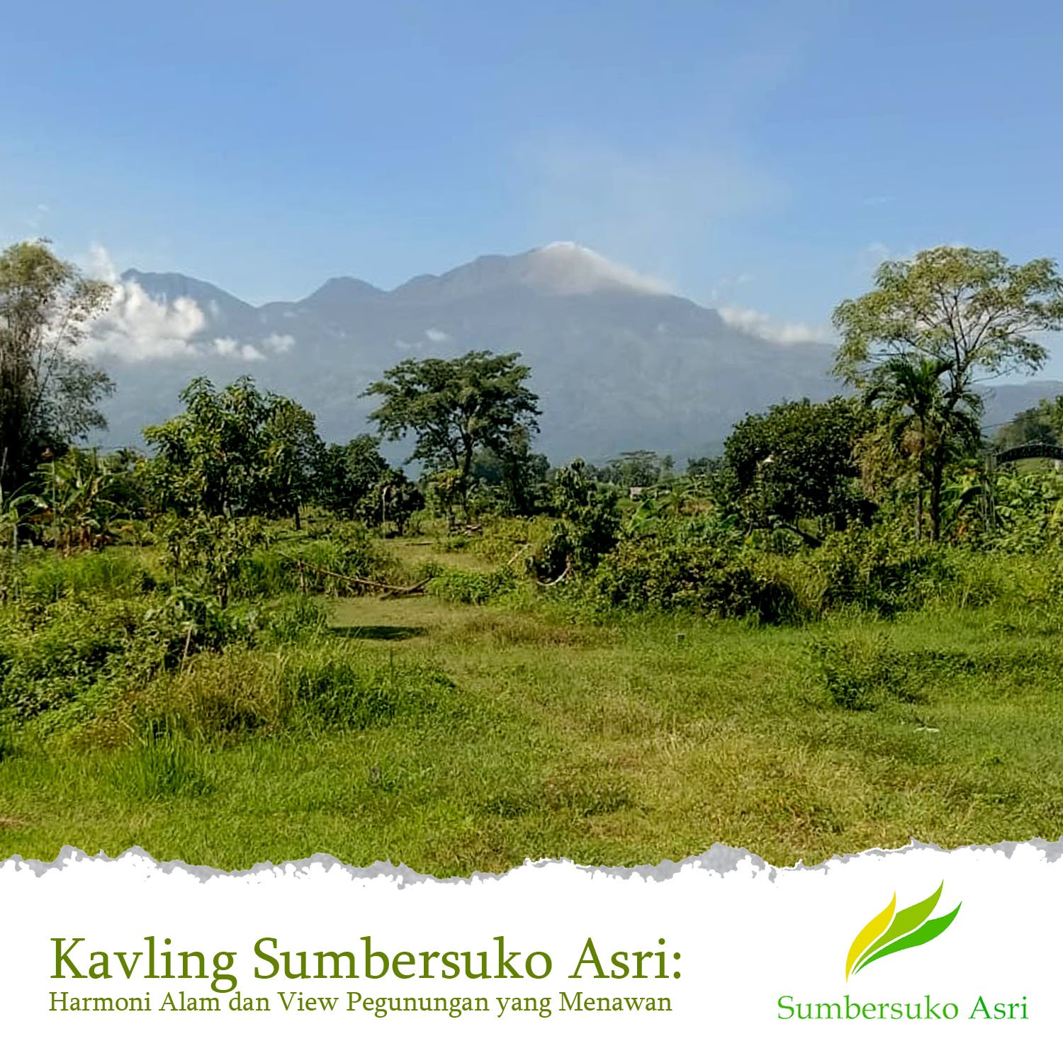 Tanah Kavling Villa Sumbersuko Asri: Harmoni Alam dan View Pegunungan yang Menawan.