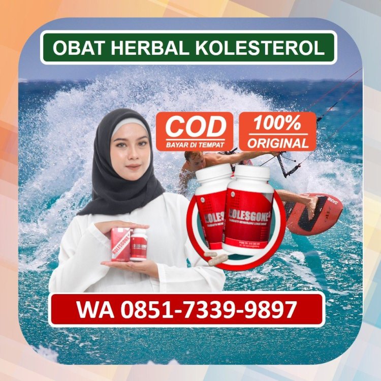Jual Obat Herbal Kolesterol Kolesgone di Kudus.jpg