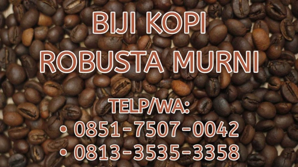 KUALITAS TERBAIK  Tlpwa 0851-7507-0042   harga biji kopi robusta mentah pekanbaru, dumai, kampar.jpg