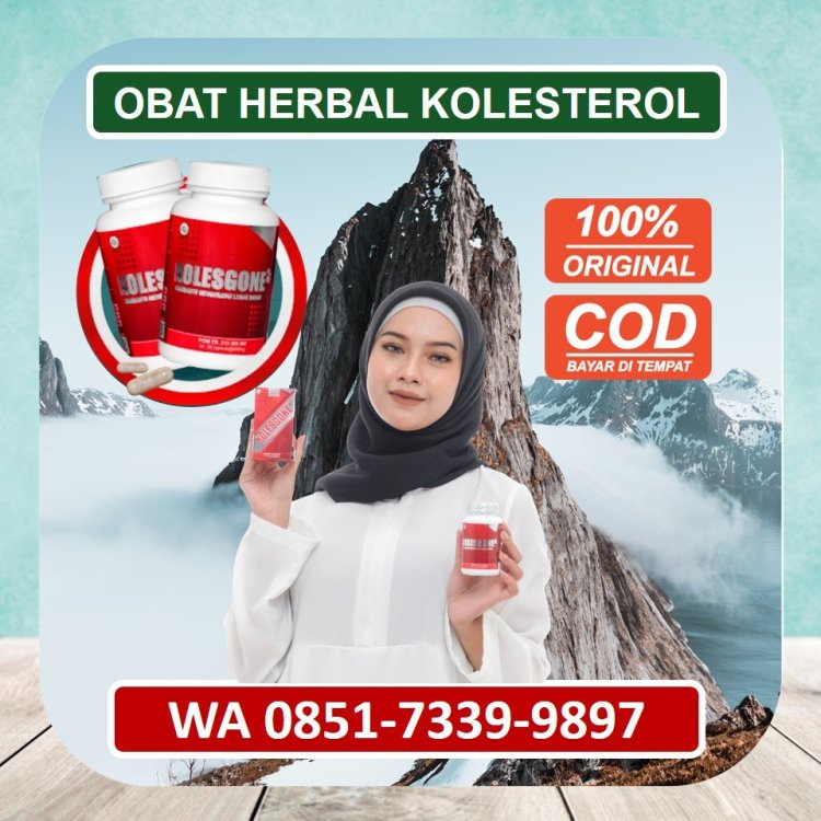 Jual Obat Herbal Kolesterol Kolesgone di Lamongan.jpg