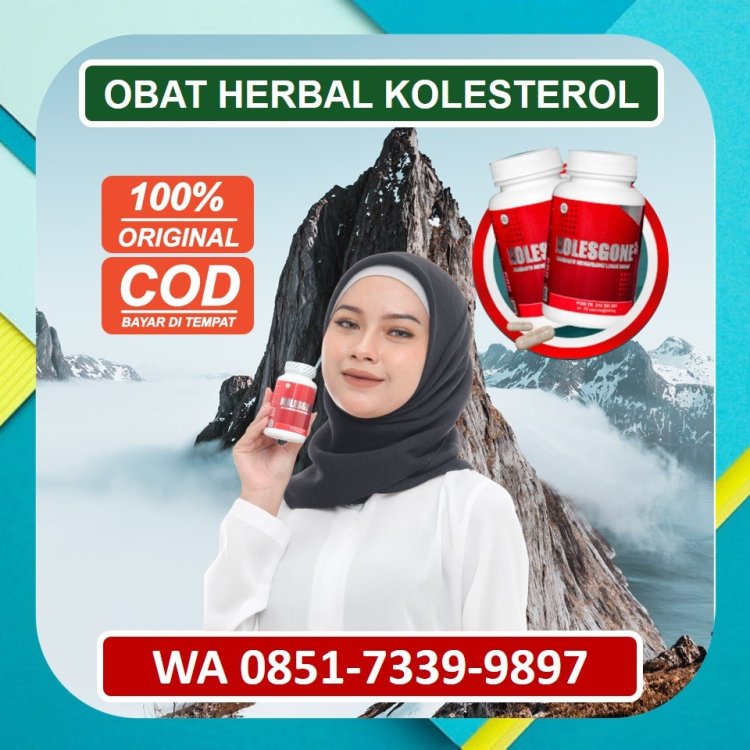 Jual Obat Herbal Kolesterol Kolesgone di Bekasi.jpg