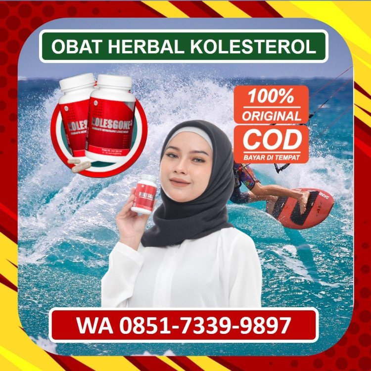 Jual Obat Herbal Kolesterol Kolesgone di Jepara.jpg