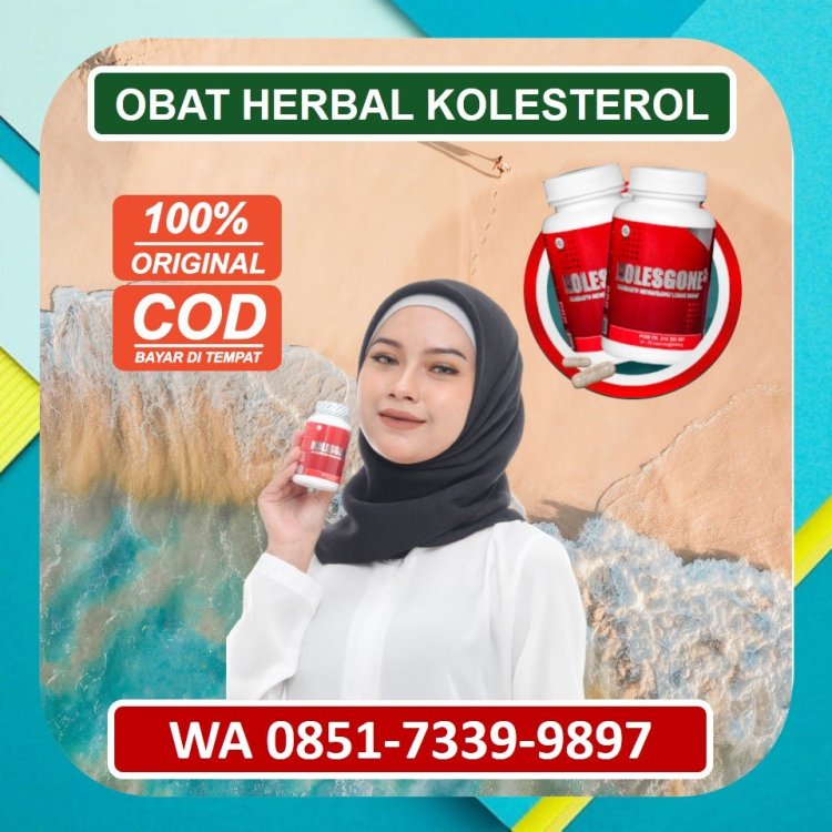 Jual Obat Herbal Kolesterol Kolesgone di Solo.jpg