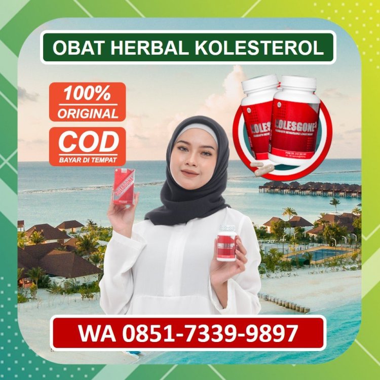 Jual Obat Herbal Kolesterol Kolesgone di Klungkung.jpg