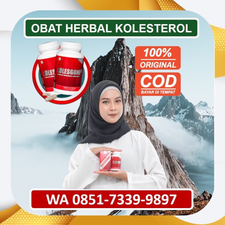 Jual Obat Herbal Kolesterol Kolesgone di Ciamis.jpg