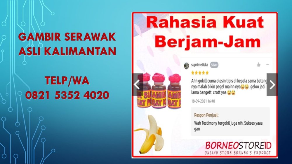 Jual Gambir Serawak Asli di Banda Aceh.jpg