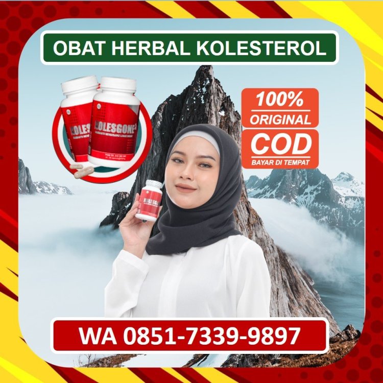 Jual Obat Herbal Kolesterol Kolesgone di Bandung Barat.jpg