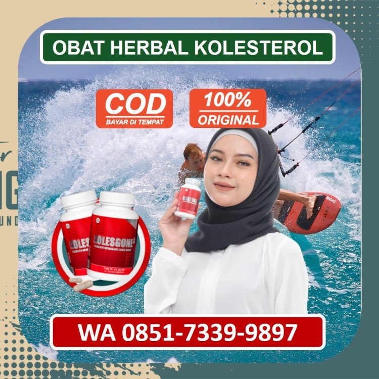 Jual Obat Herbal Kolesterol Kolesgone di Brebes.jpg