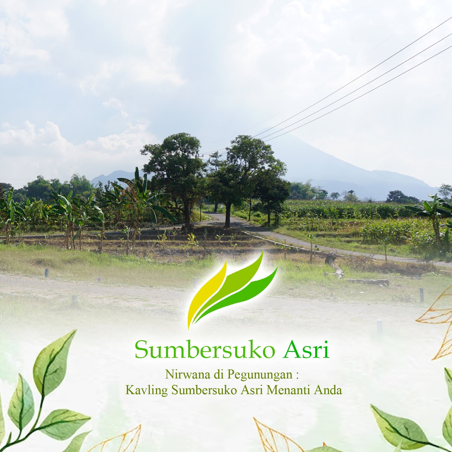 Kavling Sumbersuko Asri: Harmoni Alam dan View Pegunungan yang Menawan