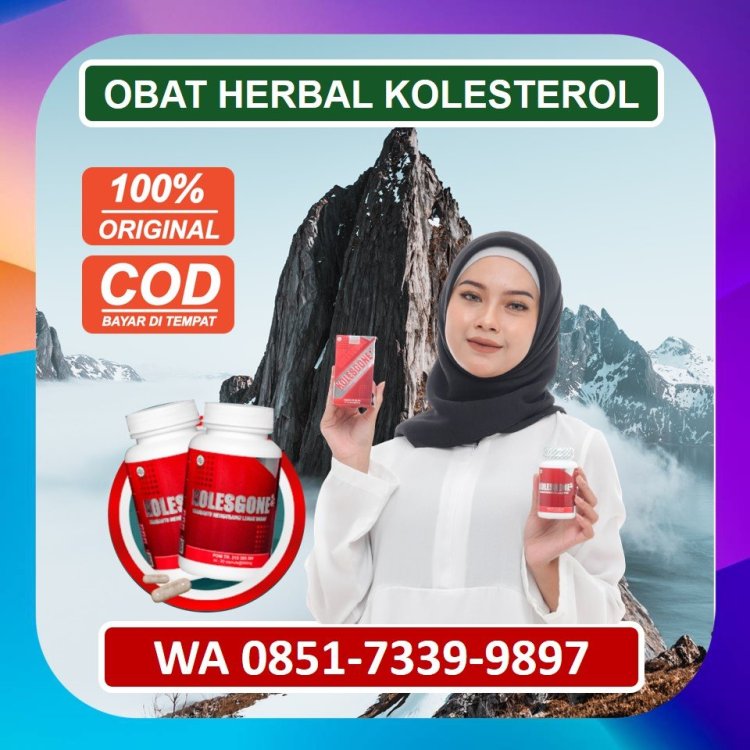 Jual Obat Herbal Kolesterol Kolesgone di Tangerang.jpg