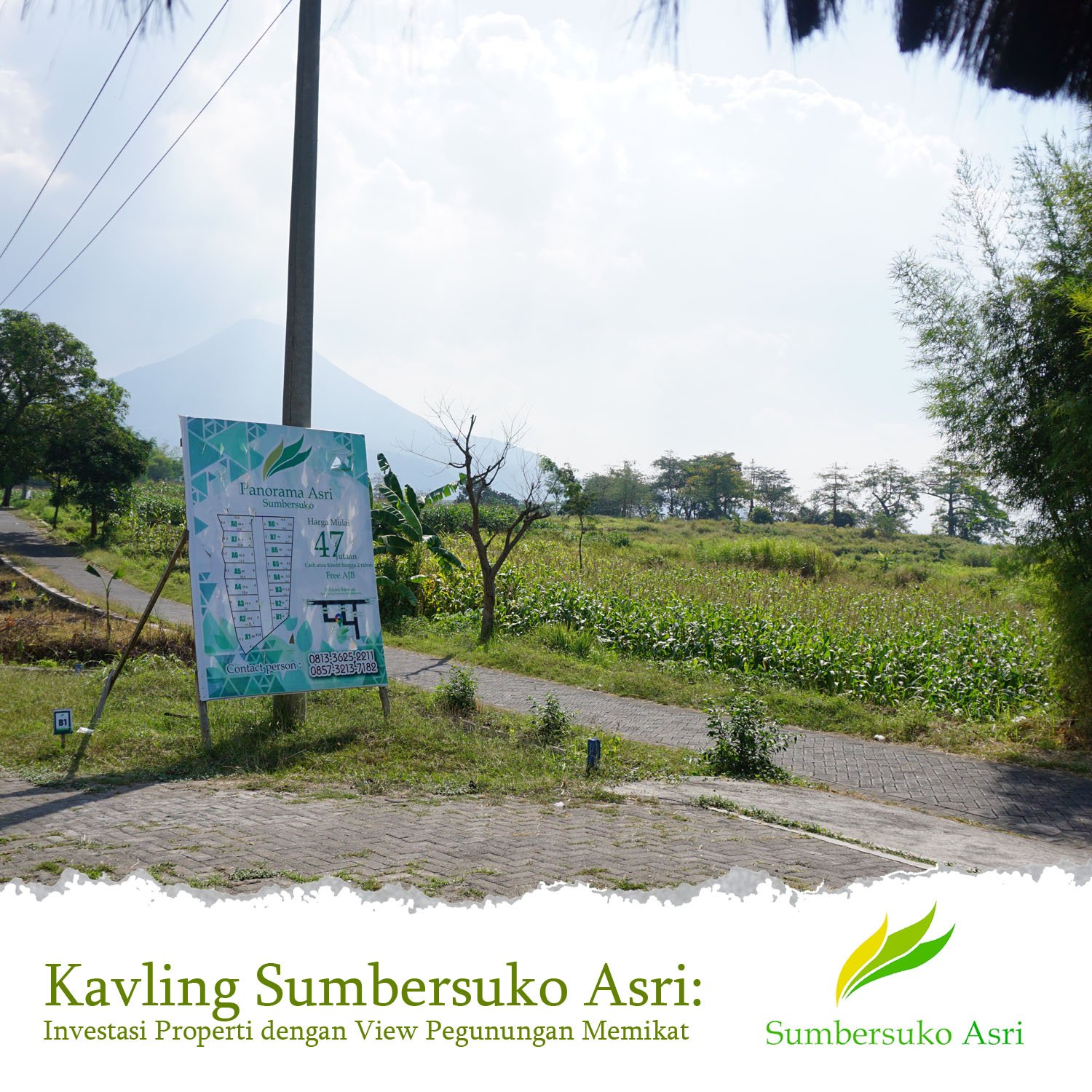 Tanah Kavling Villa Sumbersuko Asri: Investasi Properti dengan View Pegunungan Memikat.